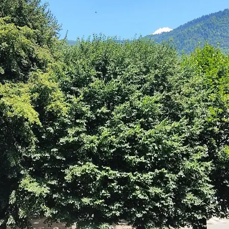 Agreable T2 Au Centre De Luchon Bagneres-de-Luchon